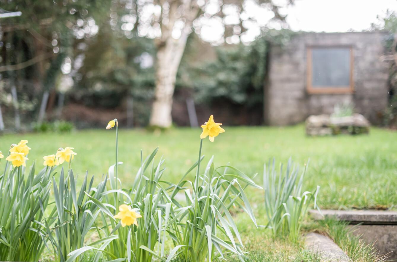 Clasemont Road, Morriston, Swansea, SA6 6BU